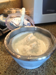 The finished product. The ice cream my maker makes is supposed to come out nice and smooth and it did. Yum. 